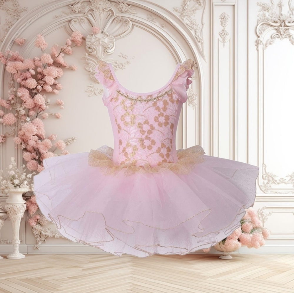 🩱🩰🎀 Pink Gold Ballet Dress & Shoes